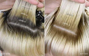 ION COLOR BRILLIANCE Liquid Permanent Hair Color